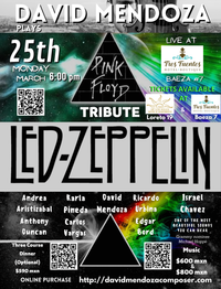 David Mendoza plays Pink Floyd/Led Zeppelin Tribute Conert (V.I.P. Ticket)