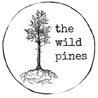Christmas at 313 Cafe with The Wild Pines