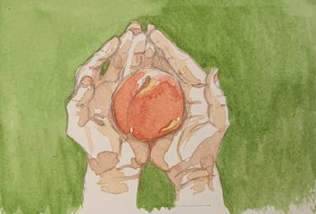 Holding a peach - watercolor

