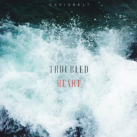Troubled Heart by David Belt