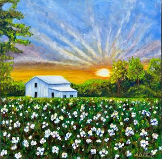 Sunshine Cotton, Oil, 20x20 $400