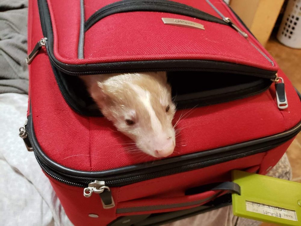 I'm all packed. Let's roll.