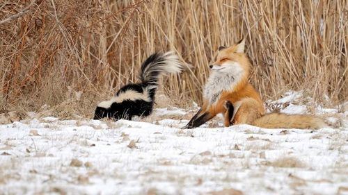 Whew! Did you just fart?