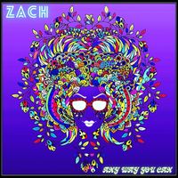 Any Way You Can by Zach