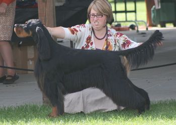 Zeus @ his 1st US dog show. May 2011
