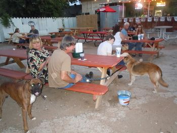 Dogs night out @ Hide Out Burgers
