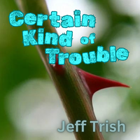 Certain Kind of Trouble by Jeff Trish