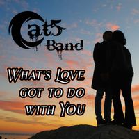 What's Love Got To Do With You? by Cat5 Band