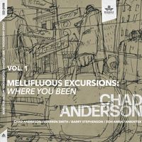 Mellifluous Excursions Vol. 1 - Where You Been by Chad Anderson