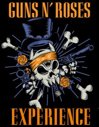 Guns n Roses Experience @ Lagoon Fest 