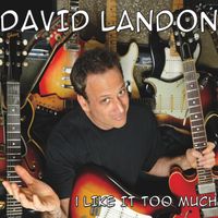 I Like It Too Much by David Landon