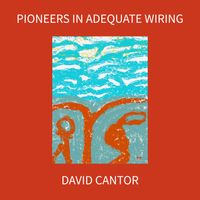 Pioneers in Adequate Wiring by David Cantor