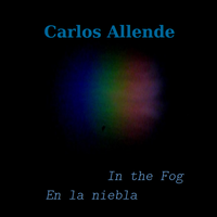 In the Fog by Carlos Allende