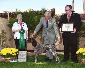Gia wins 2nd Award of Merit at the GSPCA National Specialty in Phoenix, Arizona April 21, 2012
