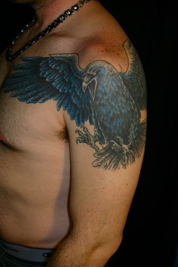 Steve's Raven 2012
