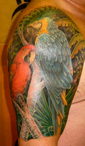 Two parrots on client's upper right arm (covering old tattoo)
