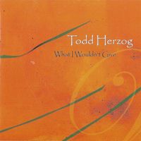 What I Wouldn't Give by Todd Herzog