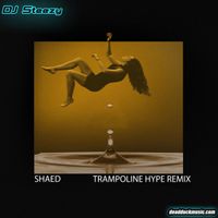 Trampoline Hype Remix  by DJ Steezy
