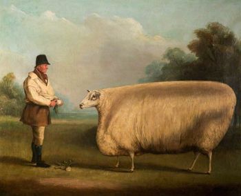 William Henry Davis - "Prize Sheep" (1838)
