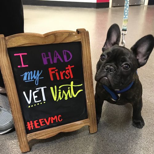 We have such wonderful puppy owners