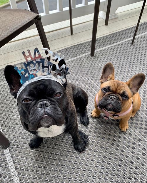 fezz and Buttercup