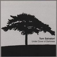 Under Cover of Darkness 1995 (c) Salvatori Productions, Inc. by Tom Salvatori