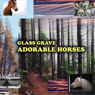 Cover artwork for "Adorable Horses" by Glass Grave.