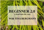 Beginners 2.0 ONLINE Workshop Series, 6 week series, 12 hours total. June-July 2024