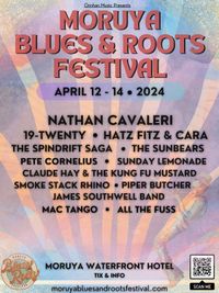 Pete Cornelius Band - Moruya Blues & Roots Festival