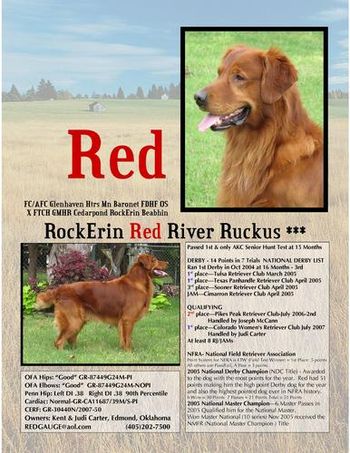 Ad placed in the Golden Retriever News "Field Issue"
