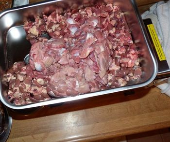 Grinding gizzards and hearts (chicken) for pups

