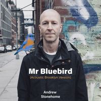 Mr Bluebird (Acoustic Brooklyn Version) by Andrew Stonehome