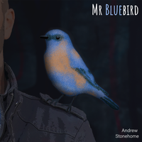 Mr Bluebird by Andrew Stonehome