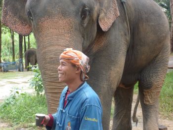 Sawang and Jojo - Thai Elephant Conservation Center
