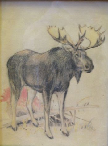 Moose in colord pencil by Byron J. Sharp
