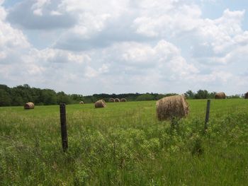 Open Hay Field
