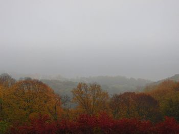Fall and Fog Also taken a few weeks ago overlooking Grand View Drive
