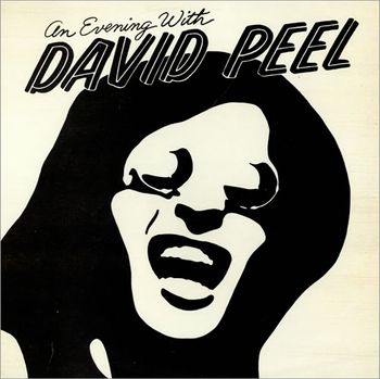 An Evening With David Peel (Orange Records (1975)
