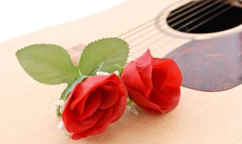 guitar_and_flowers1
