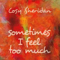Sometimes I Feel Too Much by Cosy Sheridan