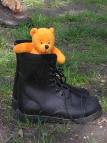 Pooh In Boots
