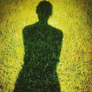 Shadow in the Field
