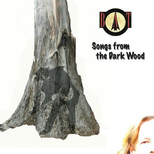 Songs from the Dark Wood Songs from the Dark Wood album cover
