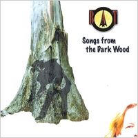Songs from the Dark Wood by BAT