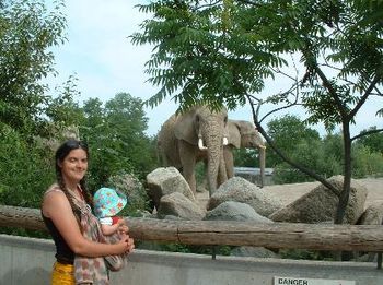 mom, hazel and elephants
