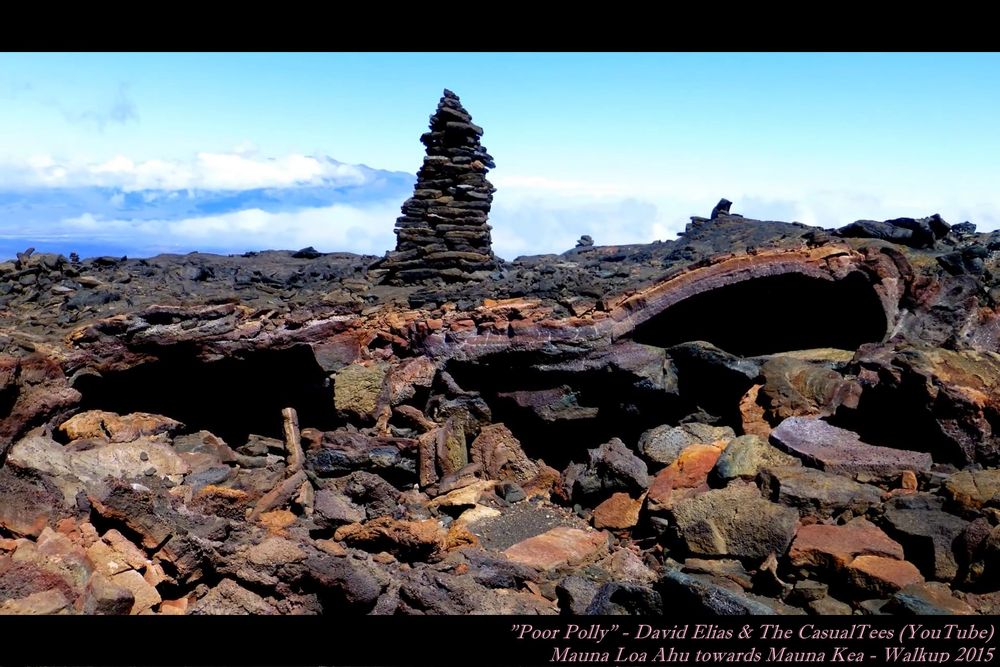 Mauna Loa Summit, Mauna Loa Lava, David Elias Hawaii