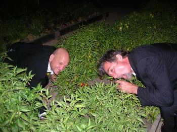 Jeff and Tom grazing
