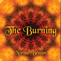The Burning by Norine Braun