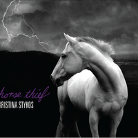 Horse Thief by Kristina Stykos