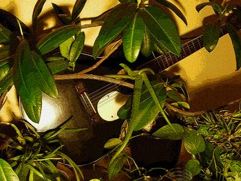 guitar in foliage
